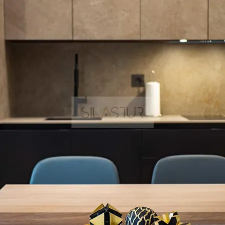 Ezcurdia Elite 1b By Silastur Apartment Gijon