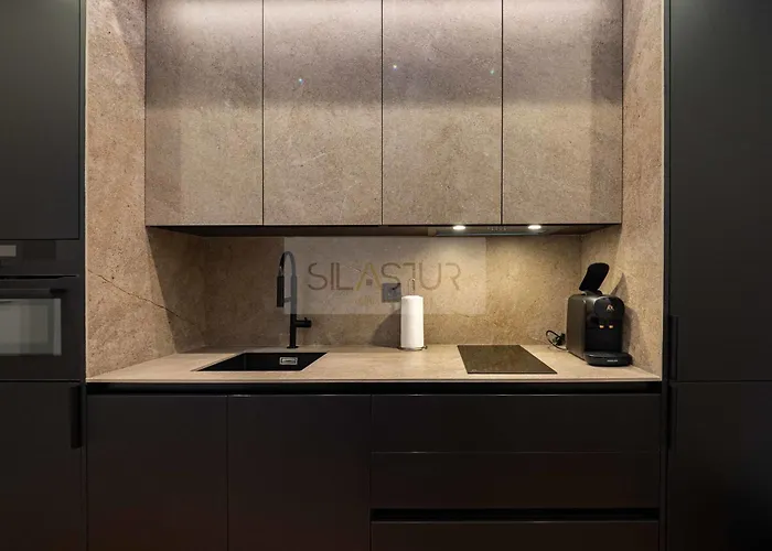 Ezcurdia élite 1b By Silastur Appartement Gijón